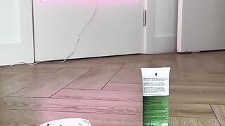 Best Funny Animal Videos Of The 2024 12