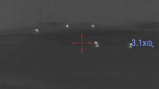 Pulsar thermion 2 xp 50 pro coyote hunt 5 down in 1 stand