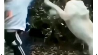 Когда обидели