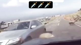 Не знаю как назвать