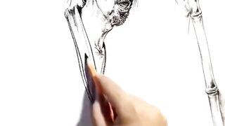 Amazing Art 6