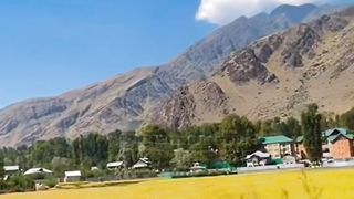 Village View