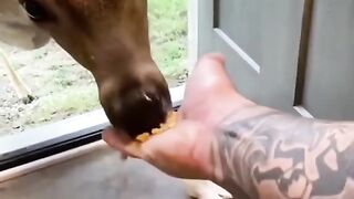 Il a ramené tous ses potes