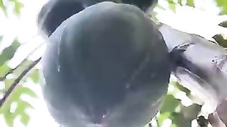 Tom_????_Jerry__Rithvi_Kavi_Real_End_Twist_????????_#shorts(360p)(26).