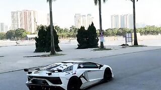 Con bò này chạy ghê quá #lamborghini