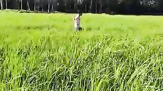 Tom_????_Jerry__Rithvi_Kavi_Real_End_Twist_????????_#shorts(360p)(8).