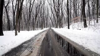 "Winter Wonderland: A Magical Stroll in the Snow"