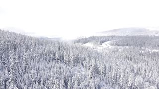 "Snowscape Symphony: Nature's Dance in Winter's Embrace"