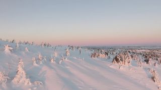 "Whispers of Winter: A Mesmerizing Snowy Escape"