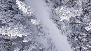 "Winter's Elegance: A Cinematic Snow Adventure"