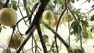 Tom_????_Jerry__Rithvi_Kavi__Miracle_fruits_twist_????????_#shorts(360p).