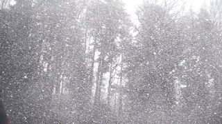 "Winter's Tapestry: Painting Serenity in a Blanket of Snow"