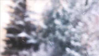 "Snowflakes and Serenity: A Journey Through Winter's Charm"