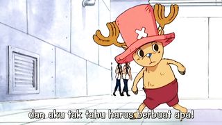 Tanuki chan