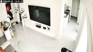 New Funny Videos 2024 ???? Cutest Cats and Dogs ???????? 2