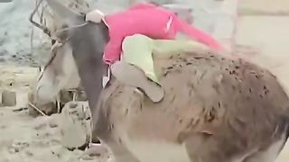 پروگرام تو وڑ گیا