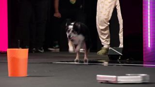 Early Release AGT winners Adrian Stoica & Hurricane AMAZE the judges! AGT Fantasy League 2024