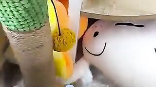 Are_you_OK_????????_#shorts_#funny_#viral(360p).