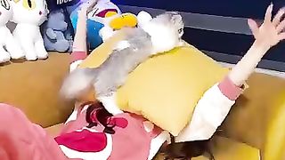 Quand_tu_ignores_un_bébé_chat????????_#shorts_#funny_#viral(360p).