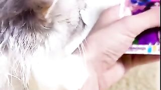 Aujourd'hui_je_le_miss_him????_#shorts_#funny_#viral (360p).