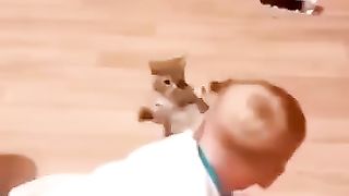 توم وجيري 2