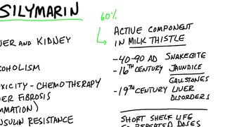 Silymarin in Milk Thistle is a Powerhouse for the Liver