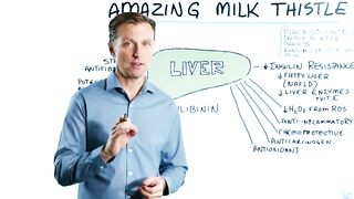 Milk Thistle: The Amazing Herb for Your Liver