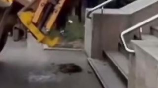ПРОТЕСТИТЕ  НА ЗЕМЕДЕЛСКИТЕ ПРОИЗВОДИТЕЛИ В ГЕРМАНИЯ