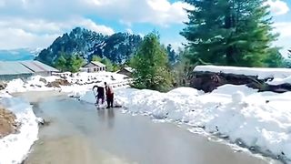 Snowfall and Sky View Beautiful