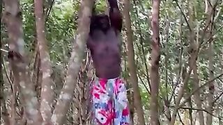 Bête_de_Afrique._Roi_de_la_jungle_????(360p).
