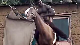 La_BEAST_OF_AFRICA._Meet_Mr_Wad._????????(360p).
