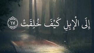 beautiful quran recitation