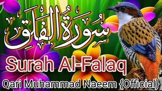 Tilawat quran / Para No 30 / Surah No 113 / Short Quran / Beautiful quran / Best quran recitation / Short Quran Recitation