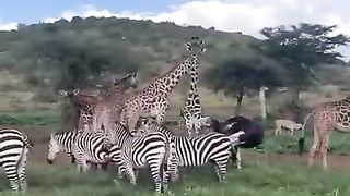 WILL_YOU_PAY_MEMBERSHIP_TO_WORKOUT_????????_HERE_????????_#africa_#bbcworldwide_#africavillage_#lifestyle(360p).