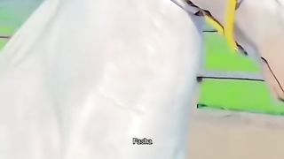 Beautiful white horse