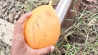 Train VS King Coconut