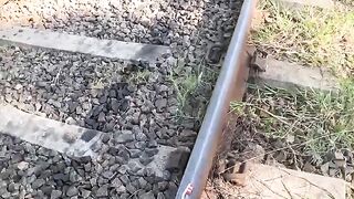 Train VS Toothbrush
