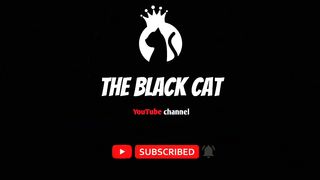 Cat fighting the most bloodiest stamina ???? The battle cats - Unstoppable fight | Try not to say wow ????