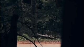 Nismo Cars