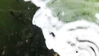 Pakan pasta cukup membantu pembentukan pencernaan larva lele