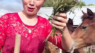 Девочкам на заметку