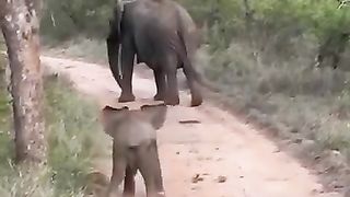 Essayez_not_to_Laugh!(360p)(1).