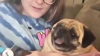 Essayez_not_to_Laugh ! (360p).