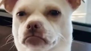 hojjy htyg
