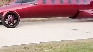 red fly core