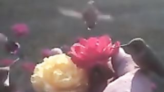 flower mower 2