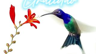 Gratidão diariamente