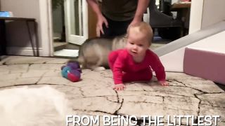 Adorable Puppy Meets Baby And Its Love At First Sight!