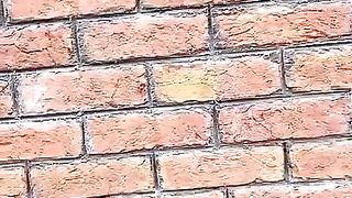 The wall of hates