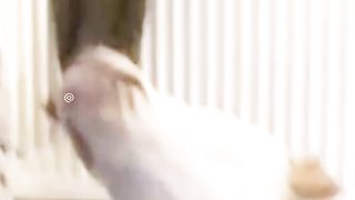 Lol???????????????????????? 2